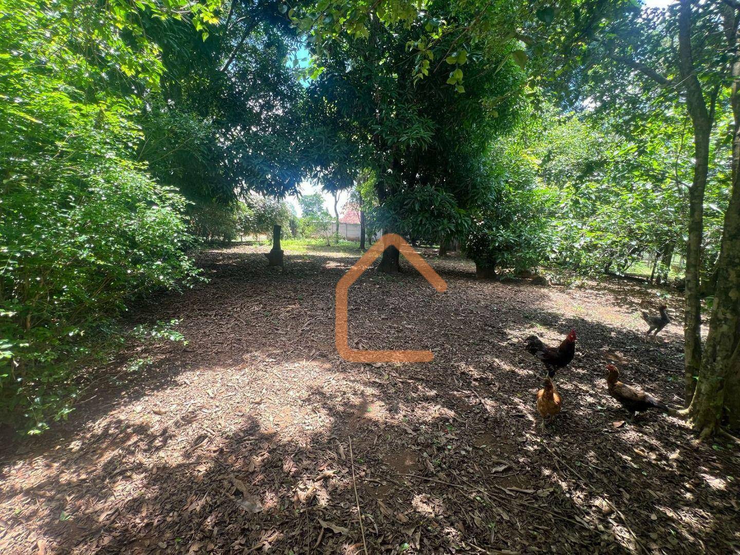 Terreno, 1350 m² - Foto 2