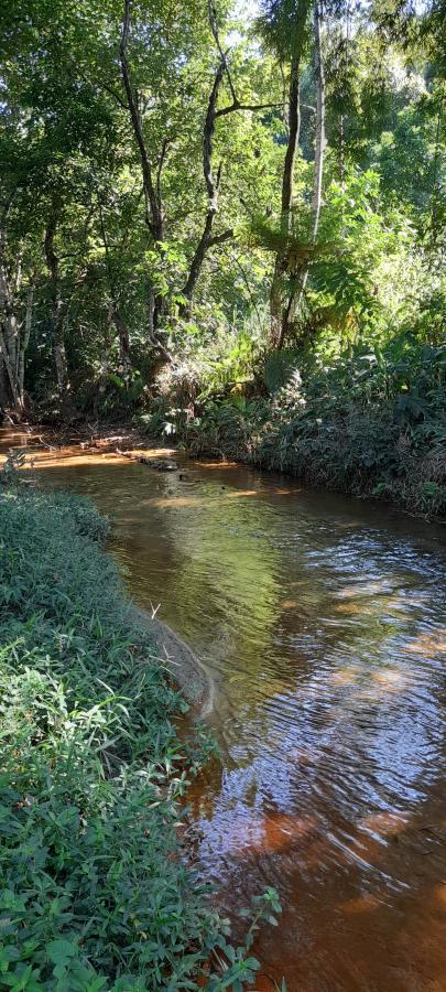 Fazenda à venda com 2 quartos, 18000m² - Foto 5