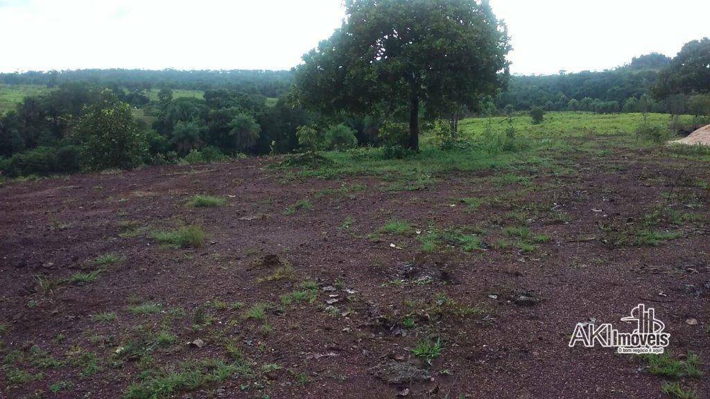 Fazenda à venda com 2 quartos, 4500000M2 - Foto 9