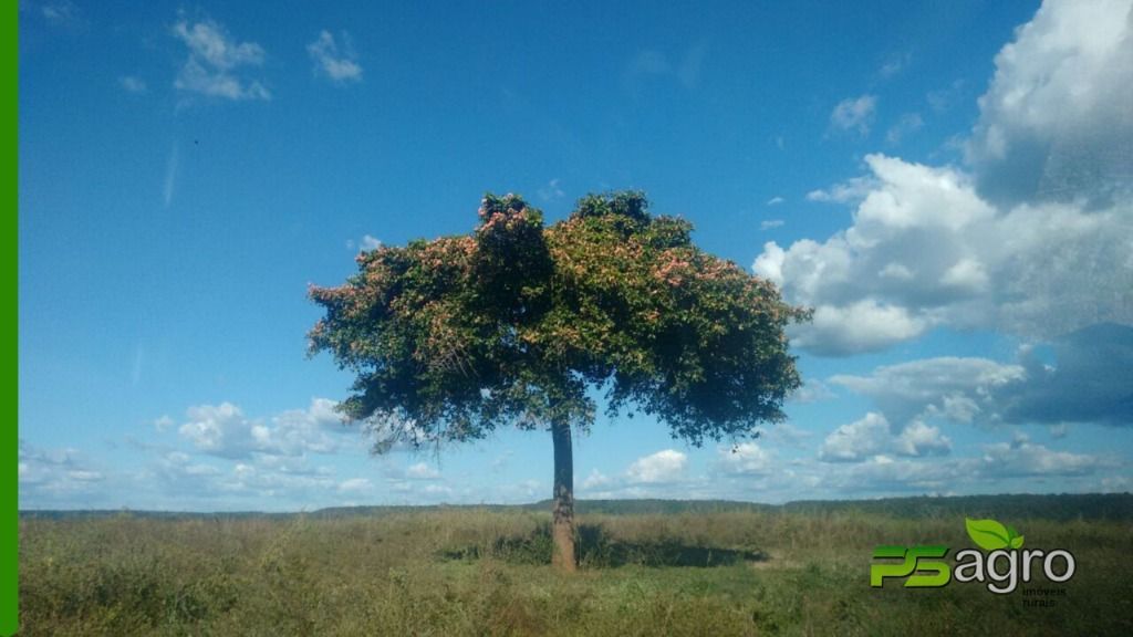 Fazenda-Sítio-Chácara, 19000 hectares - Foto 1