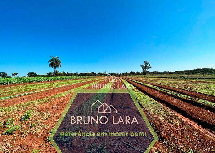 Fazenda à venda com 6 quartos, 1200m² - Foto 1