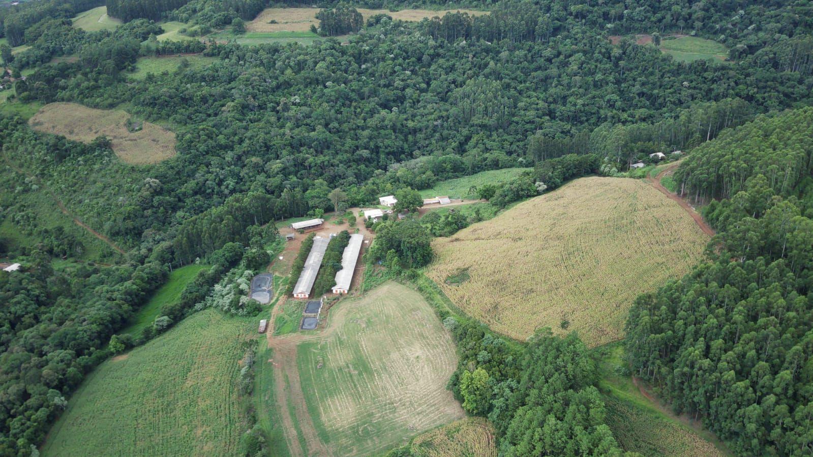 Casa à venda, 450000m² - Foto 2