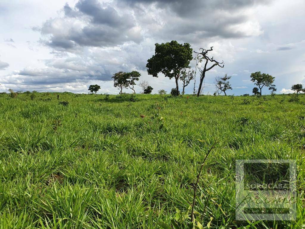 Fazenda à venda, 10210000M2 - Foto 6