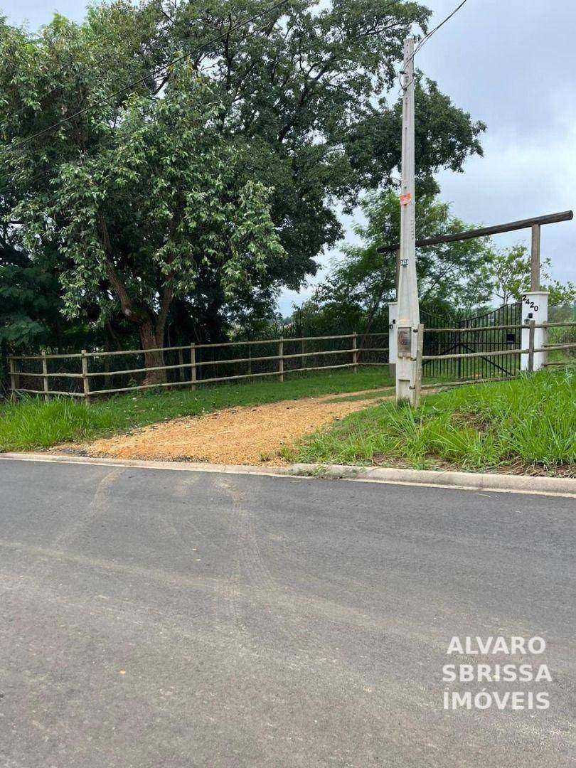 Haras e Área Rural Padrão à venda com 2 quartos, 65340M2 - Foto 6