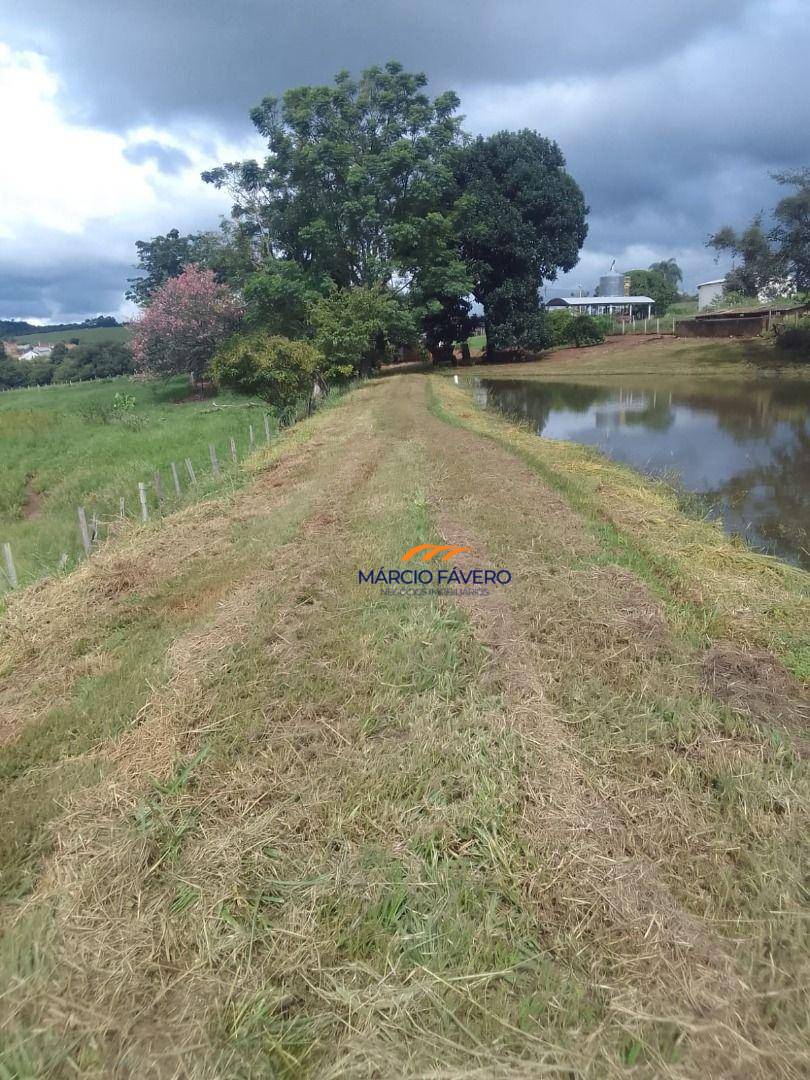 Fazenda, 102 hectares - Foto 16