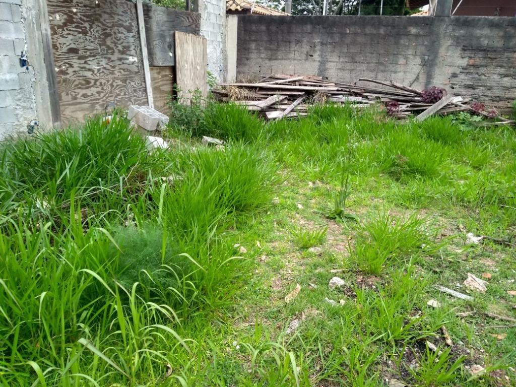 Terreno à venda, 360m² - Foto 4