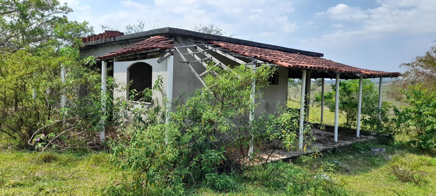 Fazenda à venda com 2 quartos, 20000m² - Foto 9