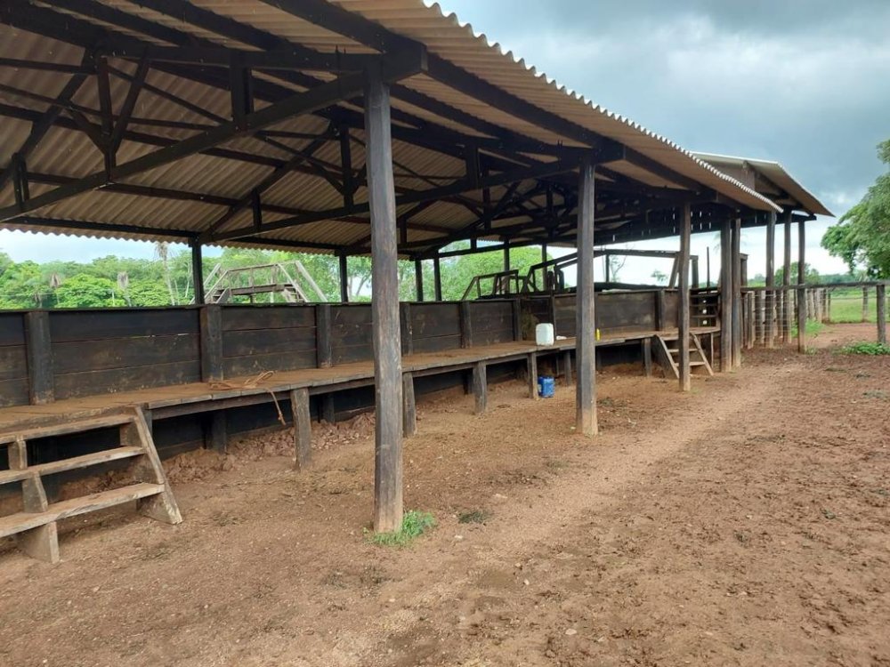 Fazenda-Sítio-Chácara, 2575 hectares - Foto 3