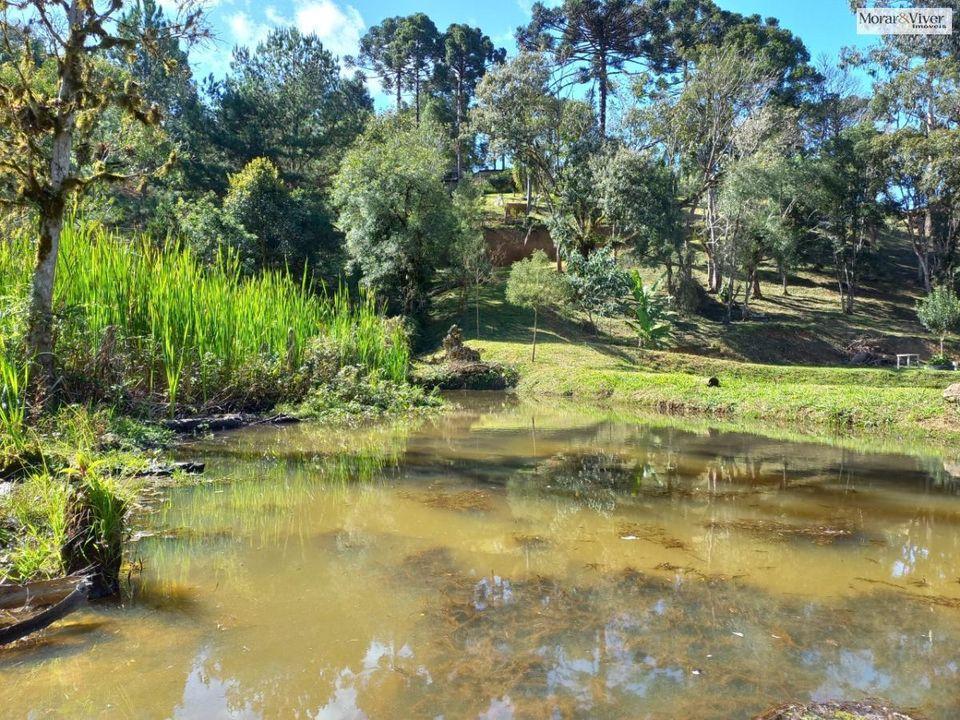 Fazenda à venda, 8000m² - Foto 10