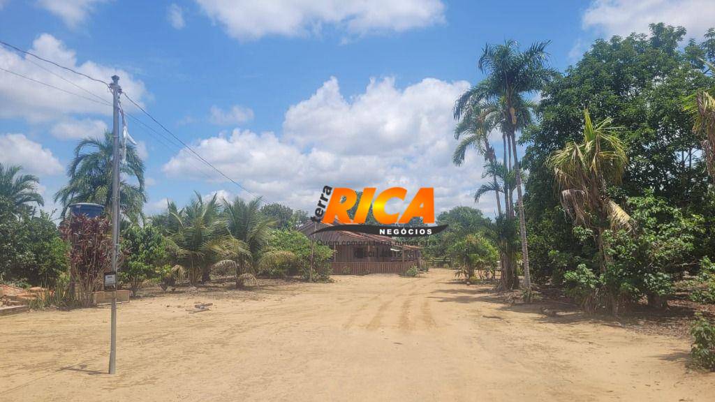 Sítio, 40 hectares - Foto 10