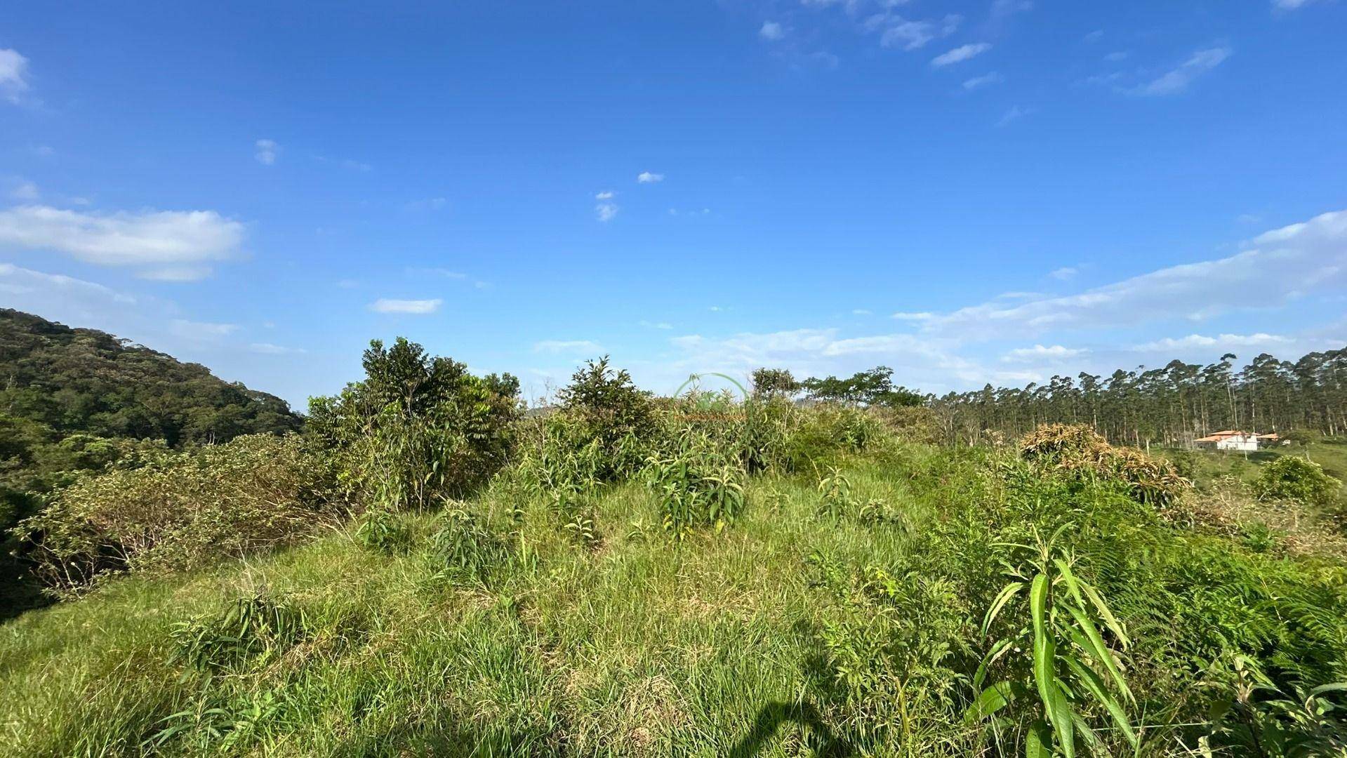 Chácara, 8000 m² - Foto 3