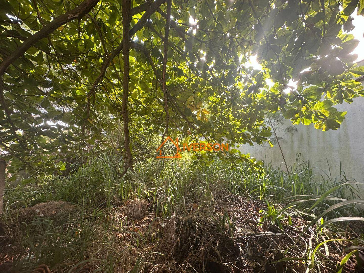 Terreno à venda, 282M2 - Foto 2