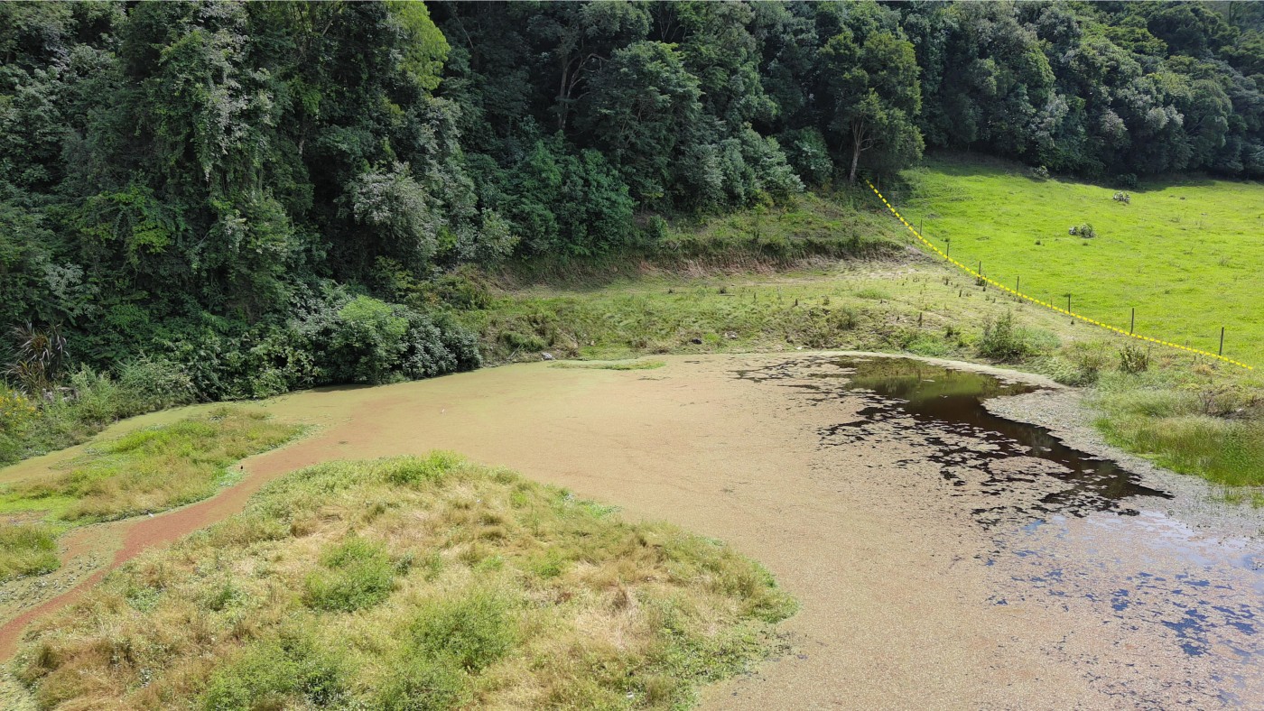 Chácara à venda, 10000m² - Foto 18