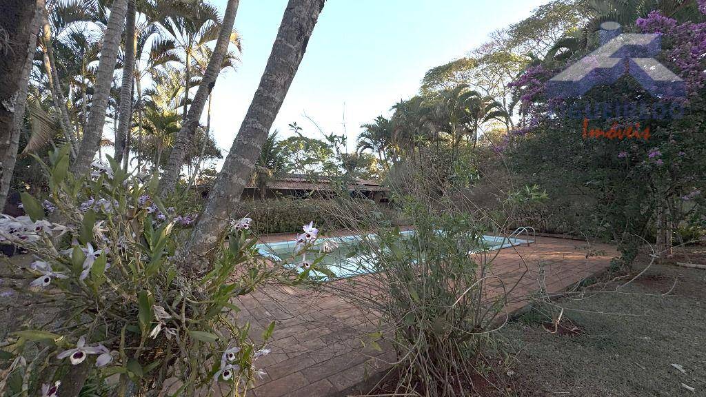 Sítio, 4 hectares - Foto 10