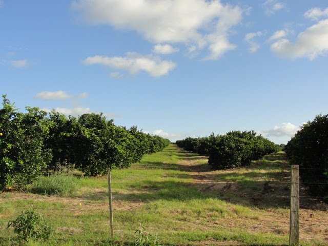 Fazenda à venda, 170m² - Foto 3