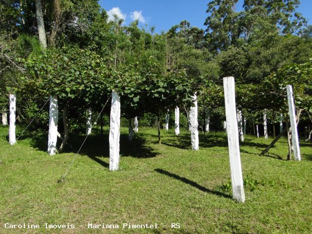 Fazenda à venda com 5 quartos, 625000m² - Foto 12