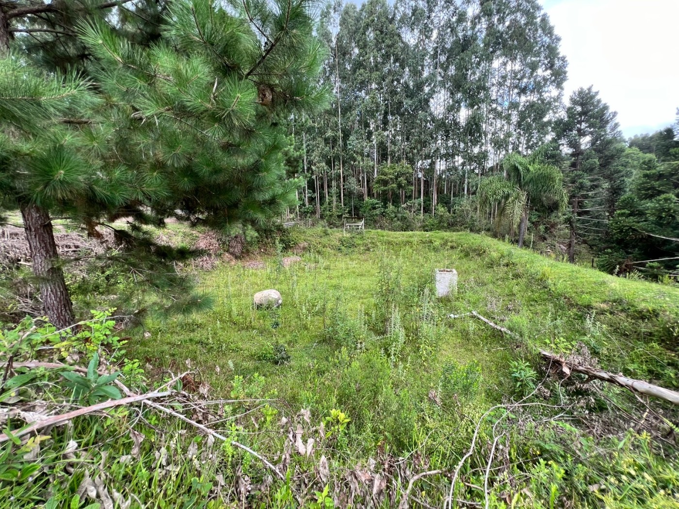 Chácara à venda, 18100m² - Foto 4