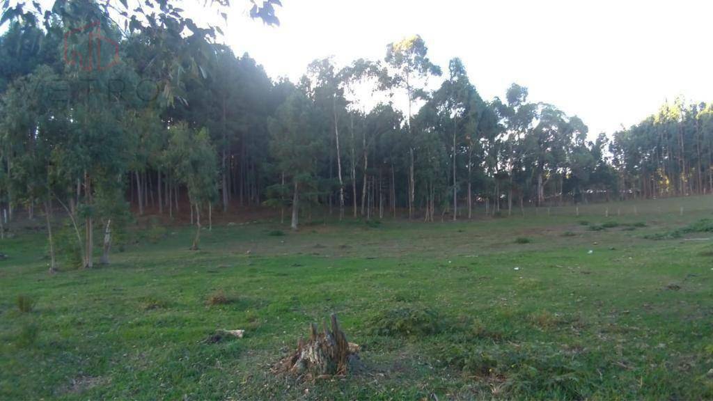 Sítio à venda com 2 quartos, 301395M2 - Foto 8