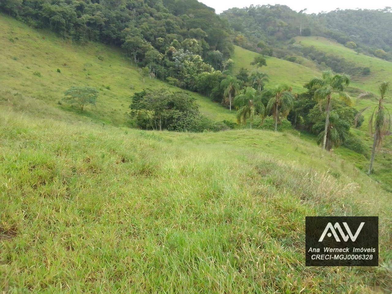 Chácara à venda com 1 quarto, 150000M2 - Foto 16