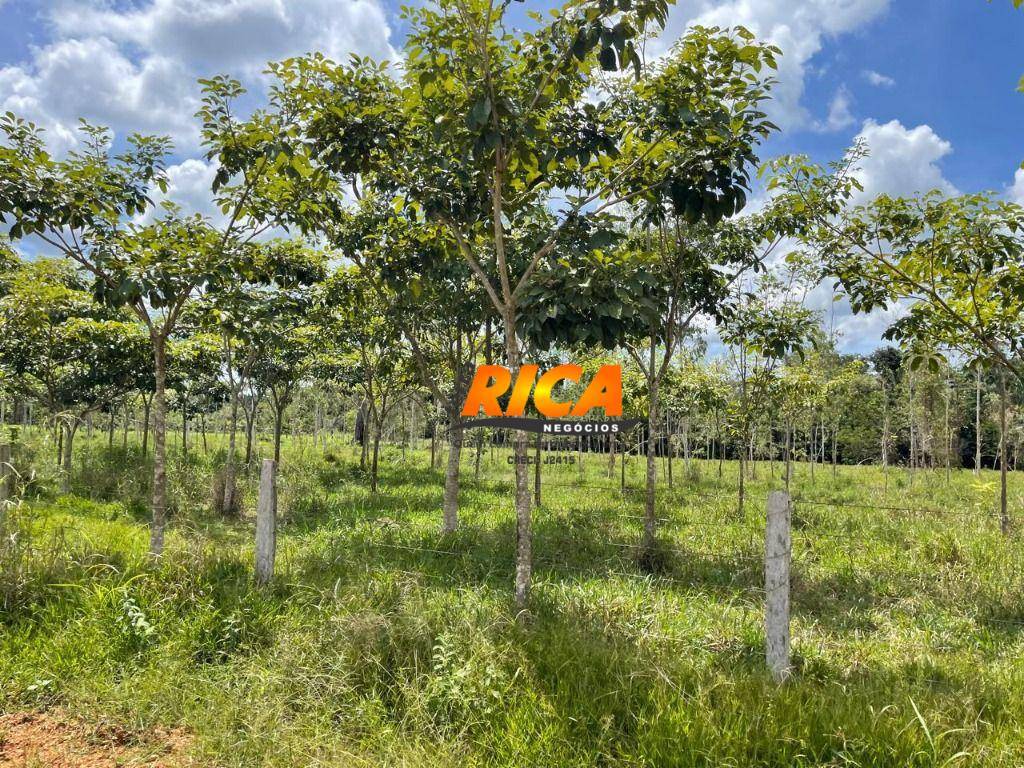 Fazenda à venda, 1110000M2 - Foto 18