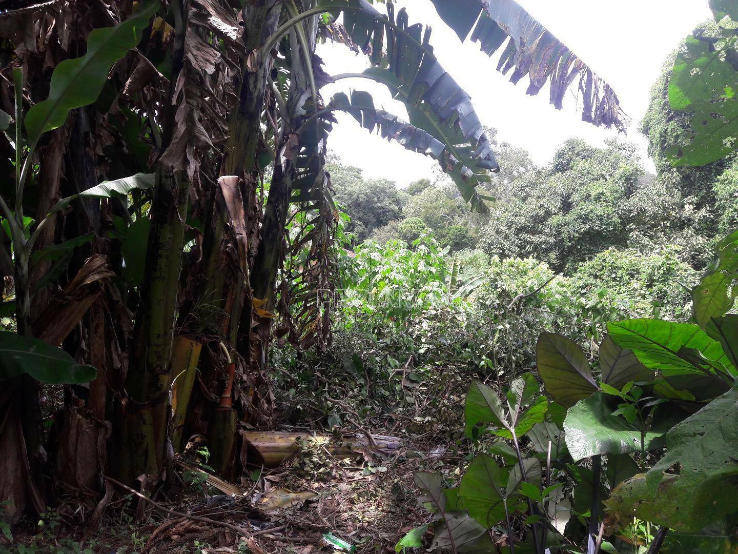 Loteamento e Condomínio à venda, 1000M2 - Foto 8