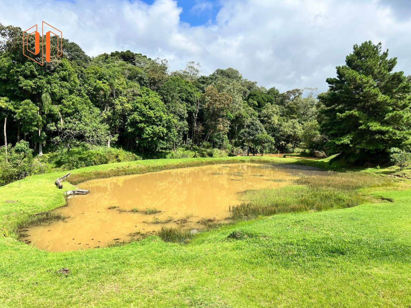 Fazenda à venda, 22000m² - Foto 1