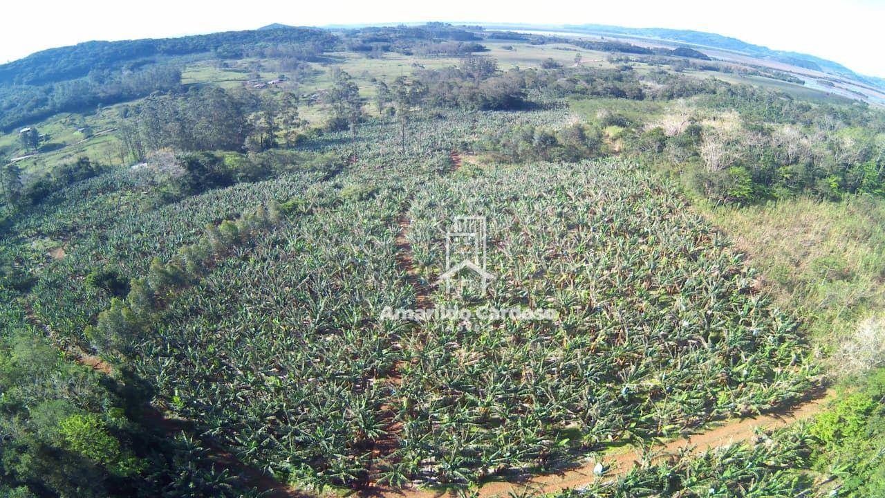 Terreno, 13 hectares - Foto 9