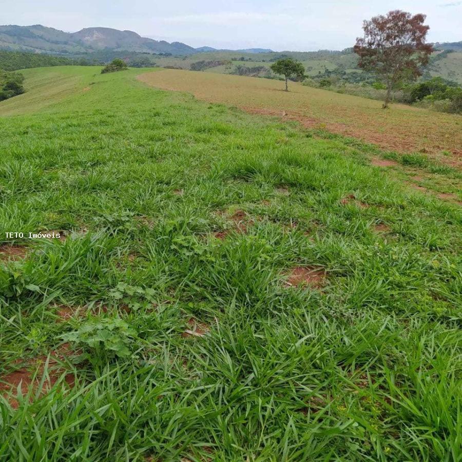 Fazenda à venda com 1 quarto, 40m² - Foto 5