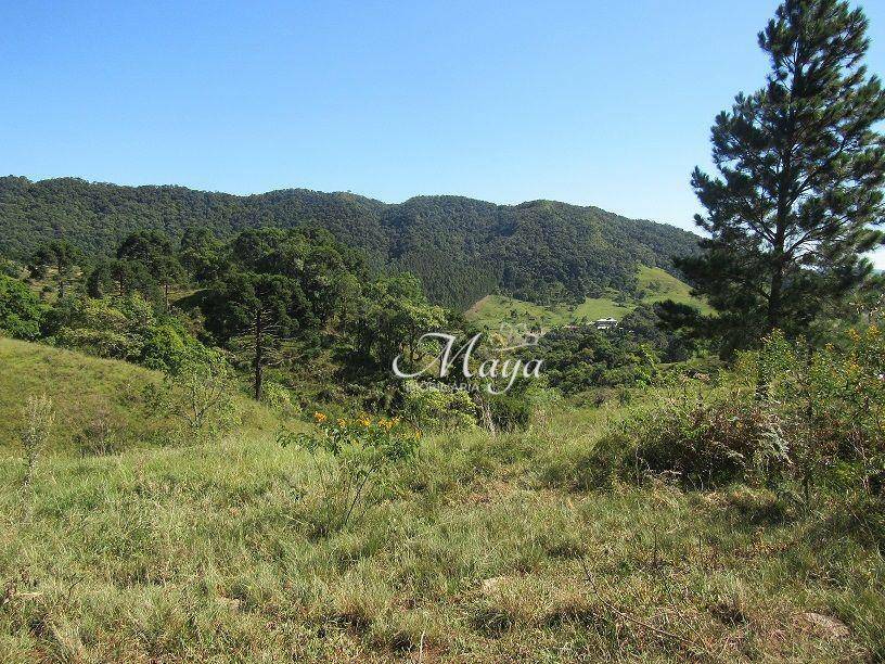 Terreno à venda, 120000M2 - Foto 3