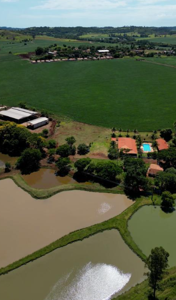 Fazenda à venda com 4 quartos, 14m² - Foto 21