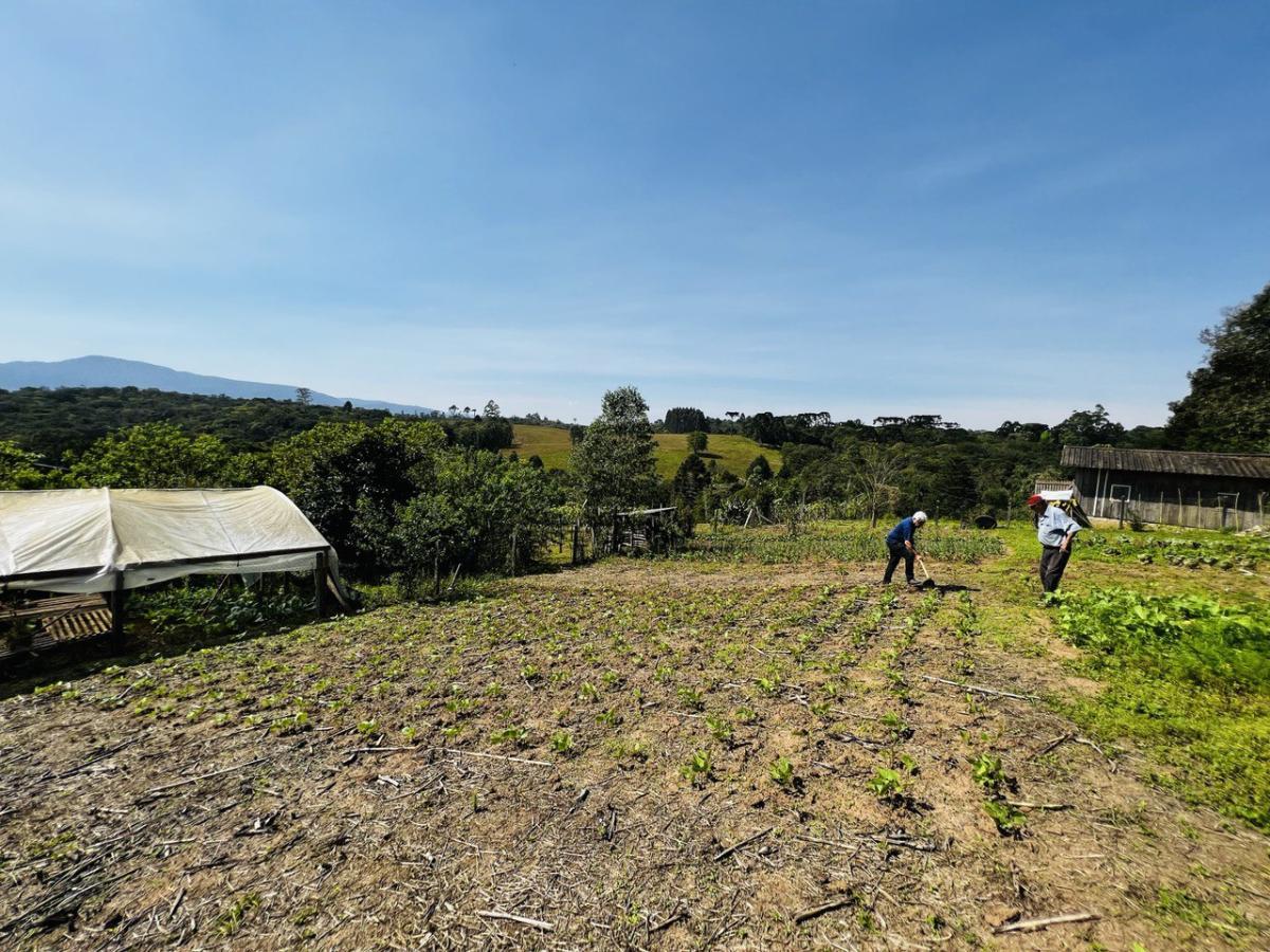 Fazenda à venda, 6300m² - Foto 40