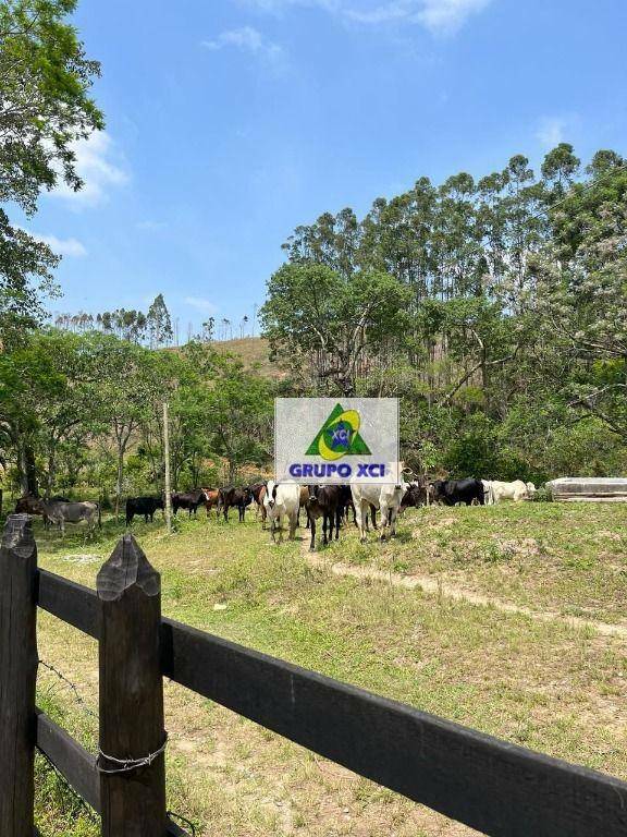 Fazenda à venda com 4 quartos, 1452000M2 - Foto 18