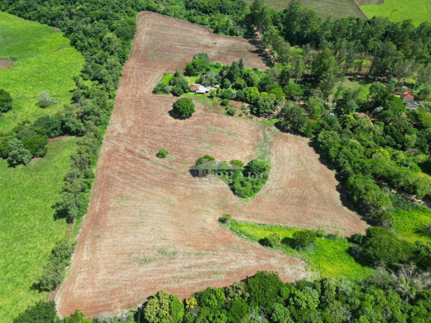 Sítio, 4 quartos, 7 hectares - Foto 1