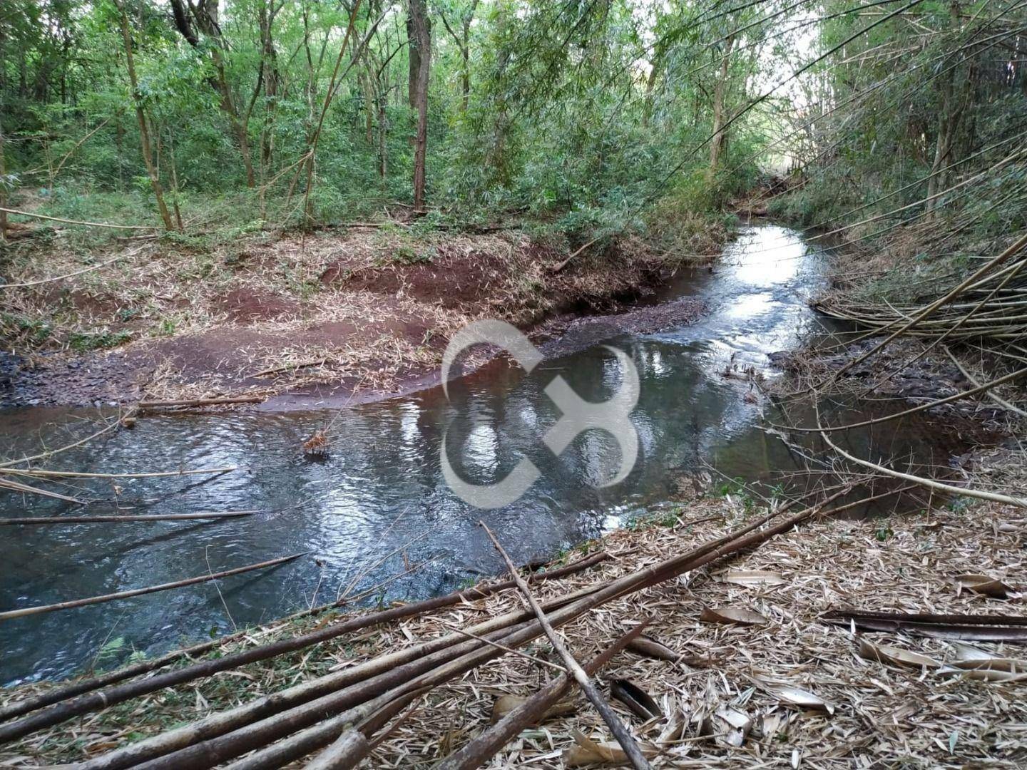 Chácara à venda, 46000M2 - Foto 22