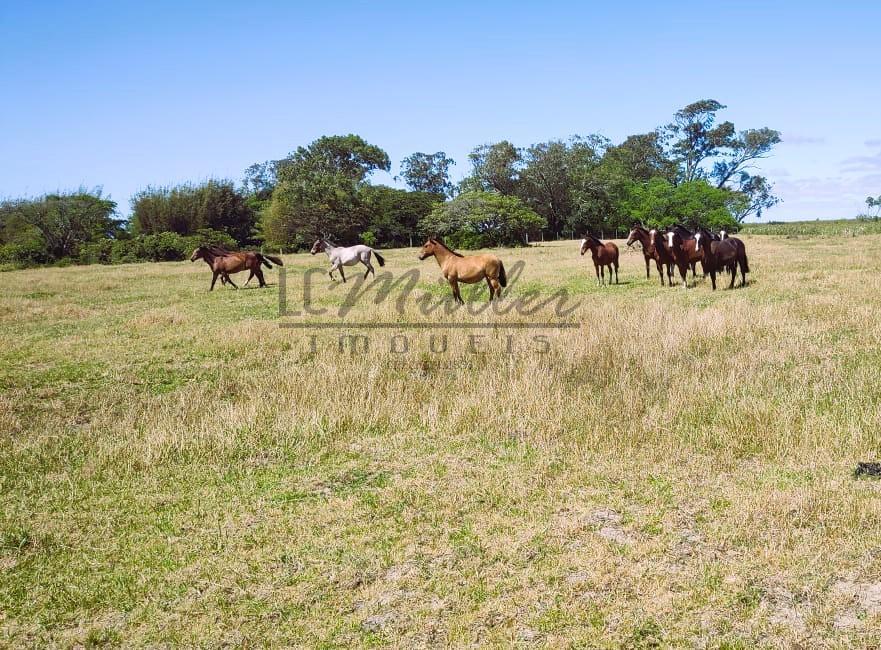 Fazenda à venda, 2300m² - Foto 10