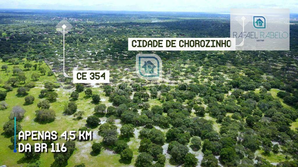 Fazenda-Sítio-Chácara, 162 hectares - Foto 5