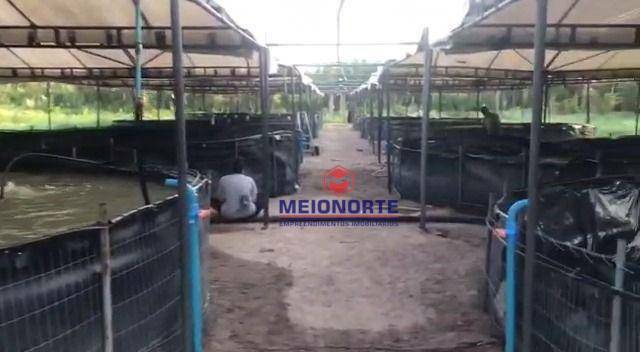 Fazenda à venda com 2 quartos, 300000M2 - Foto 19