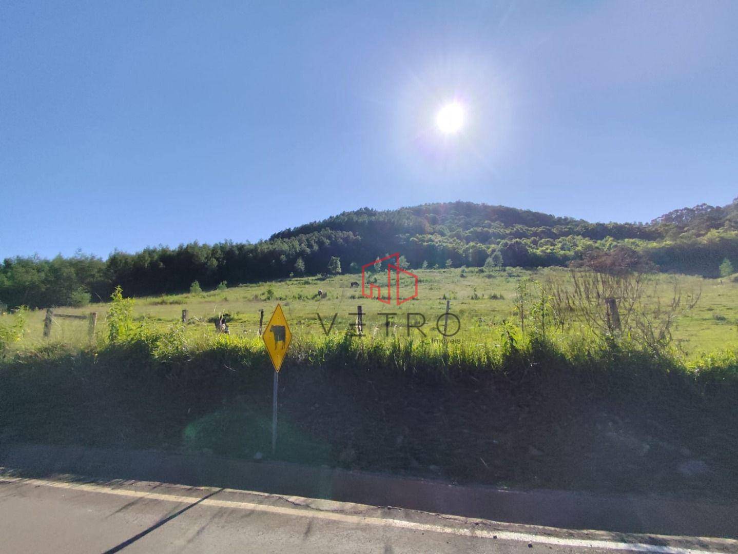 Sítio, 4 hectares - Foto 2