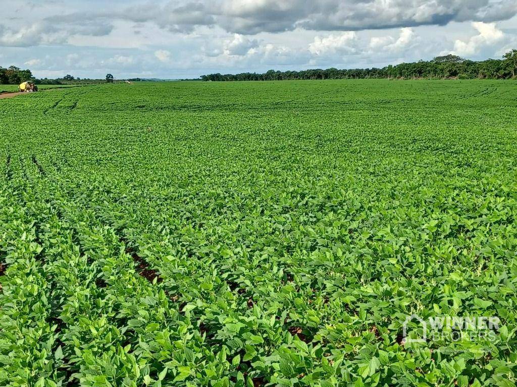 Fazenda à venda, 31060000M2 - Foto 10