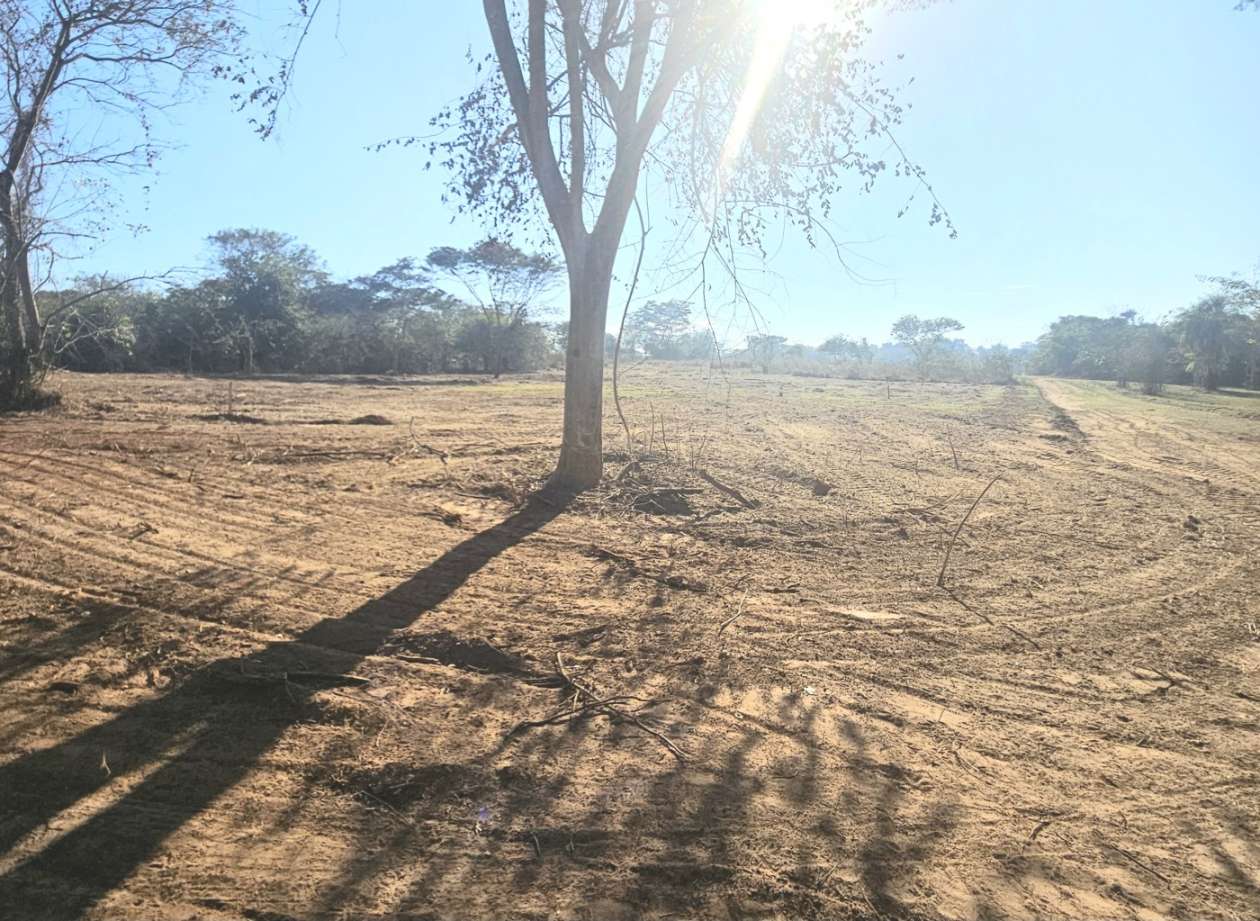 Chácara, 2047 m² - Foto 2