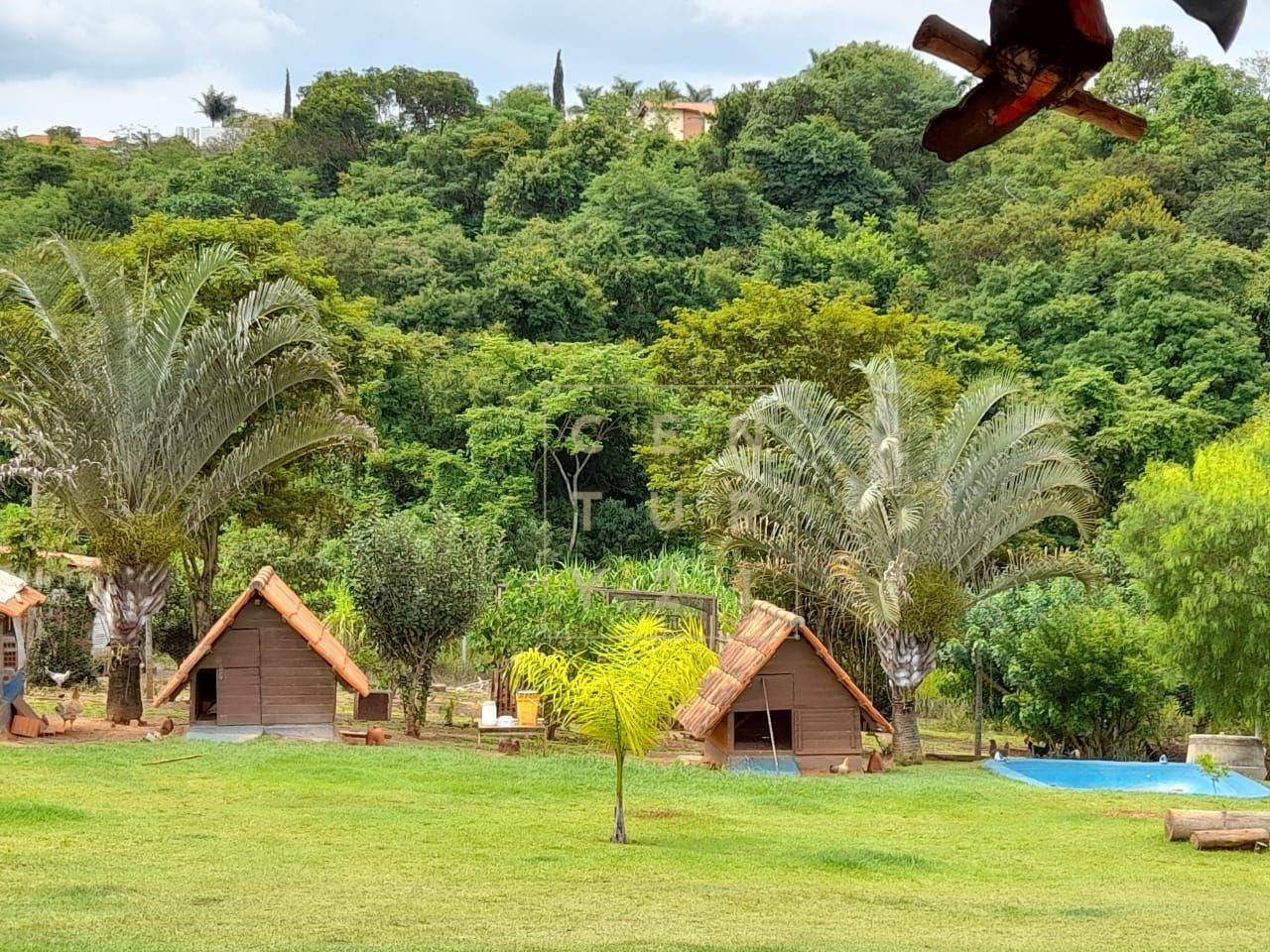 Chácara, 3 quartos, 3285 m² - Foto 13