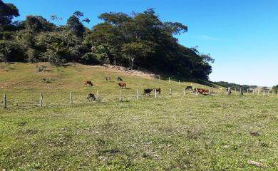 Fazenda à venda com 2 quartos, 270000m² - Foto 26