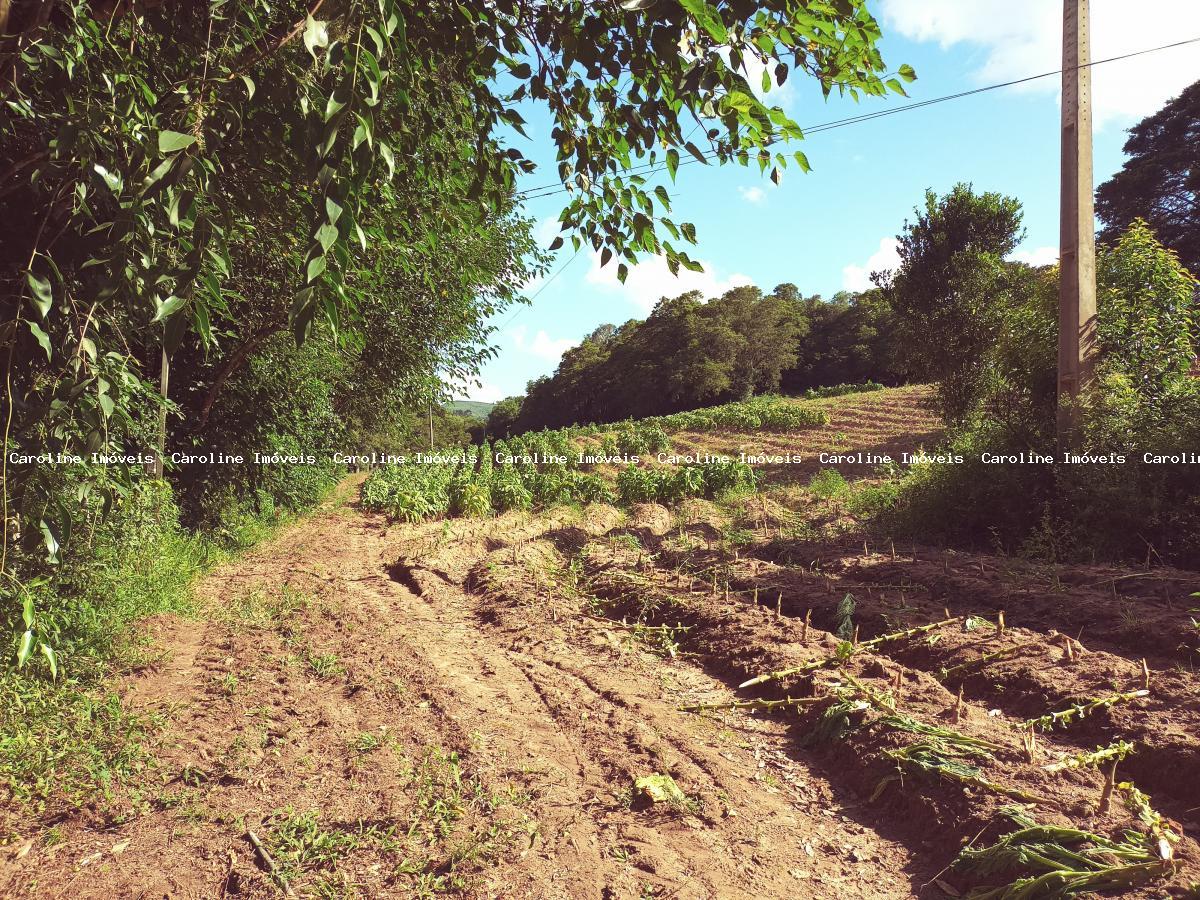 Fazenda à venda, 250000m² - Foto 5