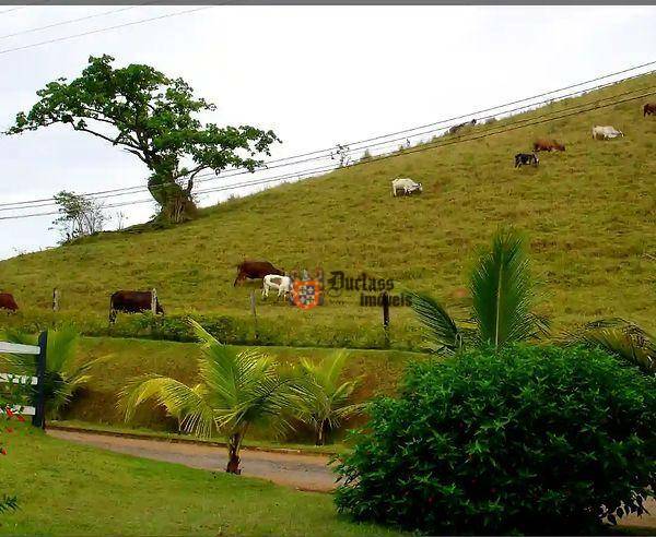 Fazenda à venda com 5 quartos, 1331000M2 - Foto 103