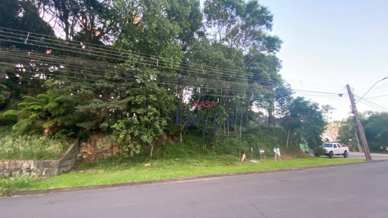 Terreno, 1250 m² - Foto 2