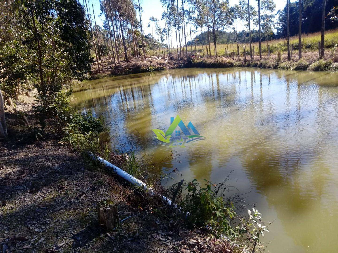 Chácara à venda com 4 quartos, 150m² - Foto 11