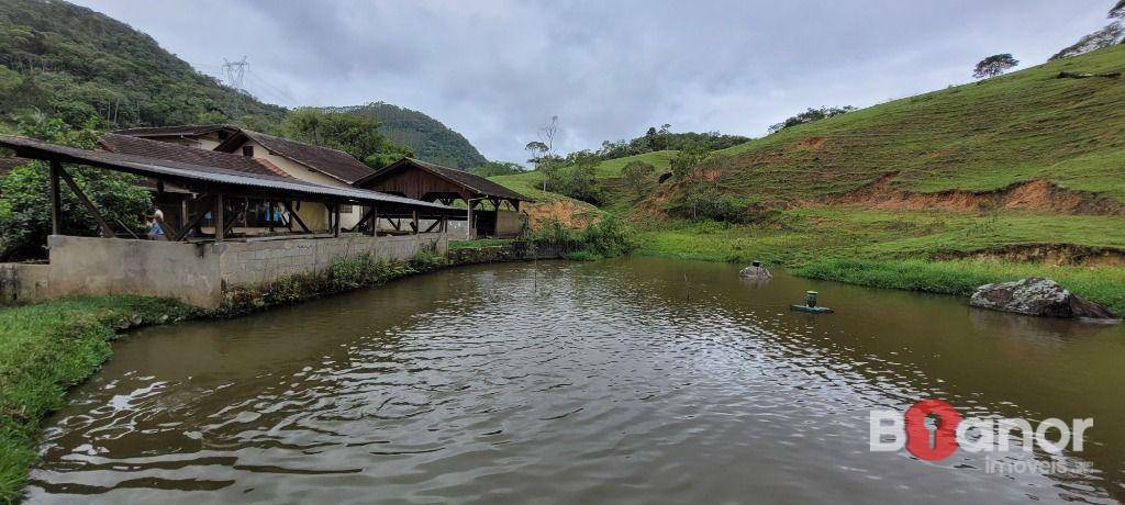 Sítio à venda com 4 quartos, 600m² - Foto 66