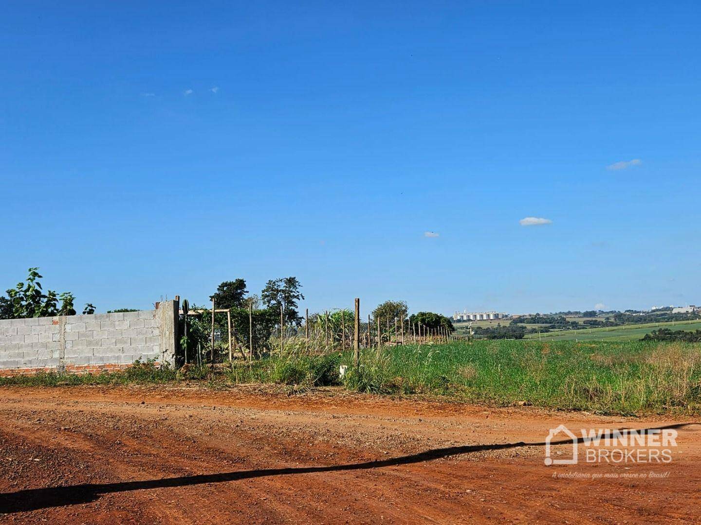 Chácara à venda com 1 quarto, 2500M2 - Foto 6