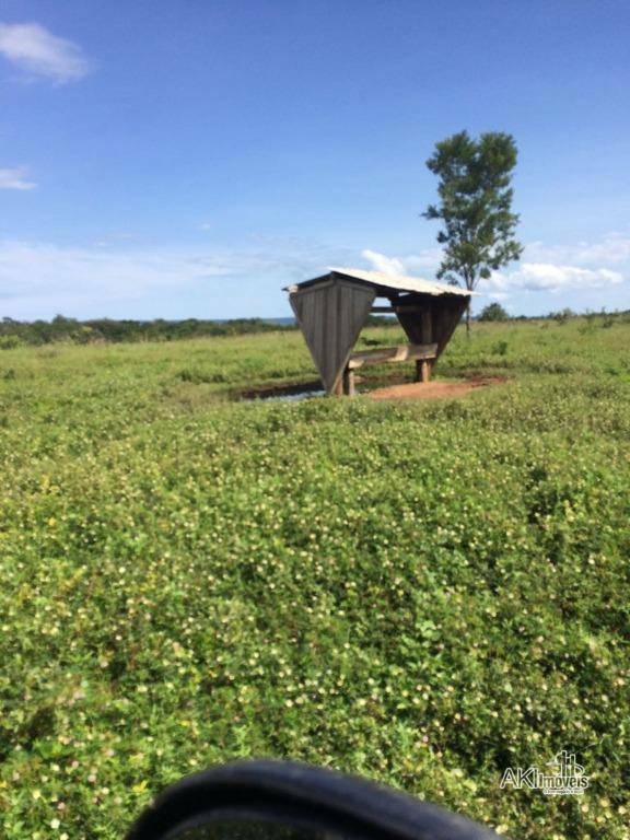 Fazenda à venda, 75000000M2 - Foto 6