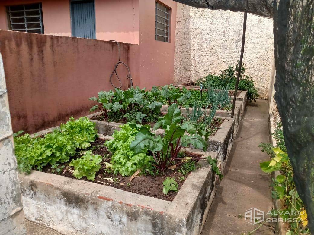 Chácara à venda com 3 quartos, 100m² - Foto 19